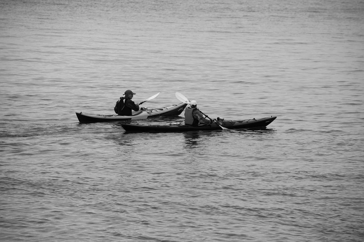 Kayak fish finder