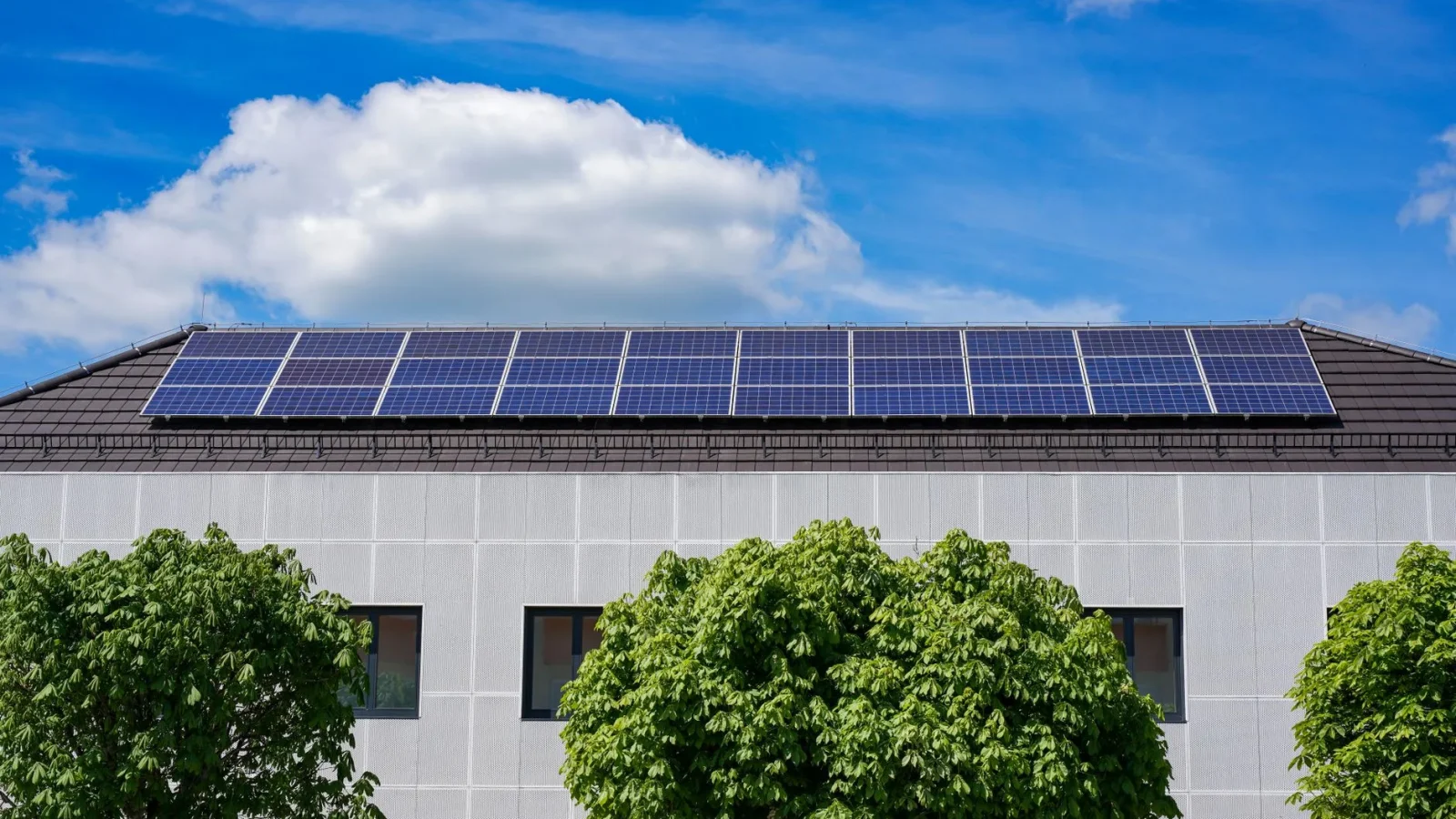 Marine Solar Cost and Payback