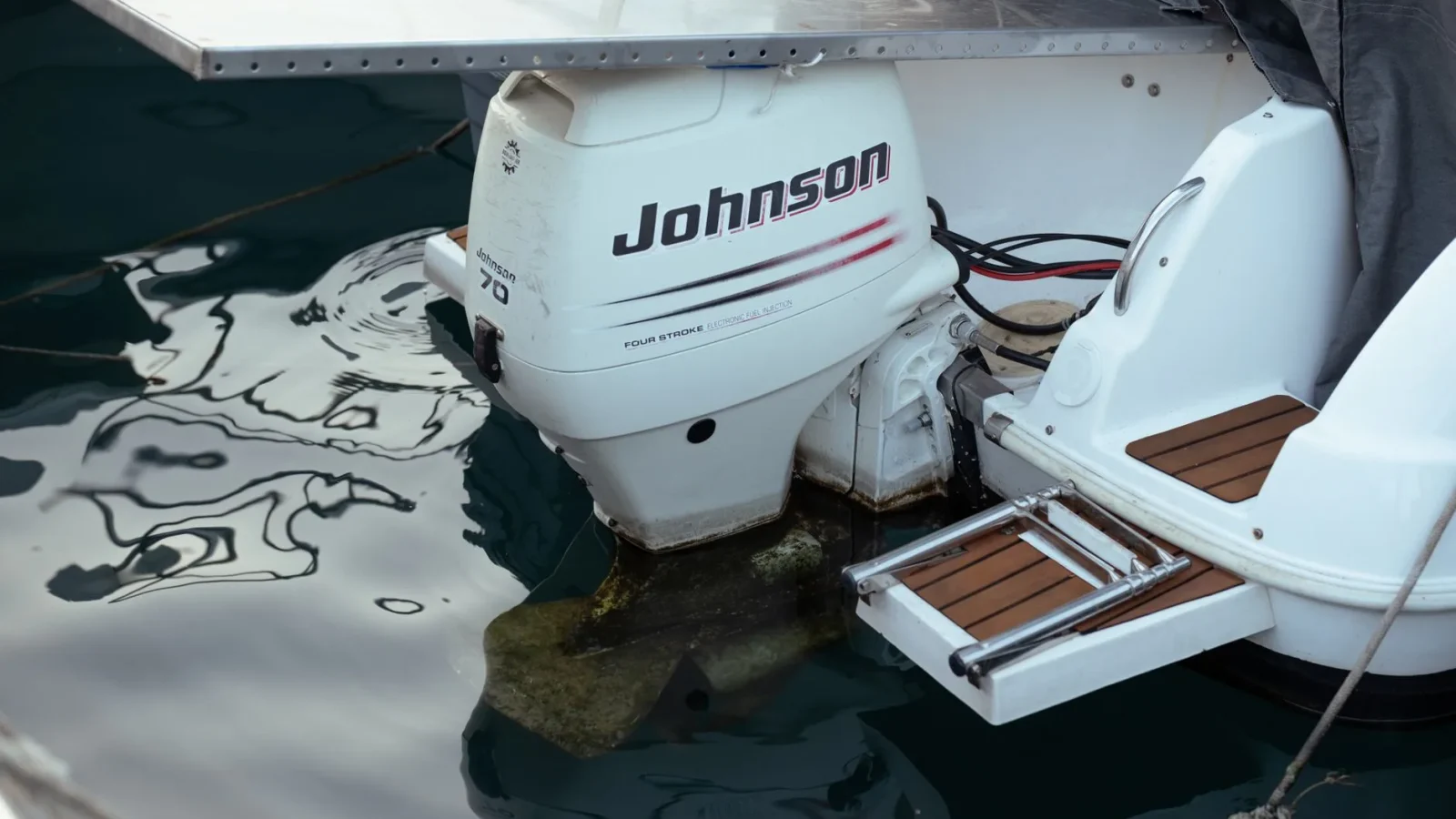 Trolling Motor Lithium Battery Setup