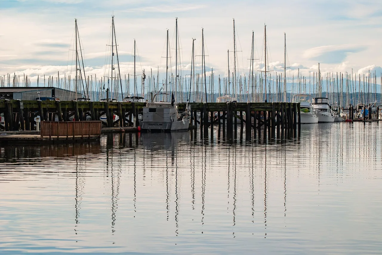 Winter marina